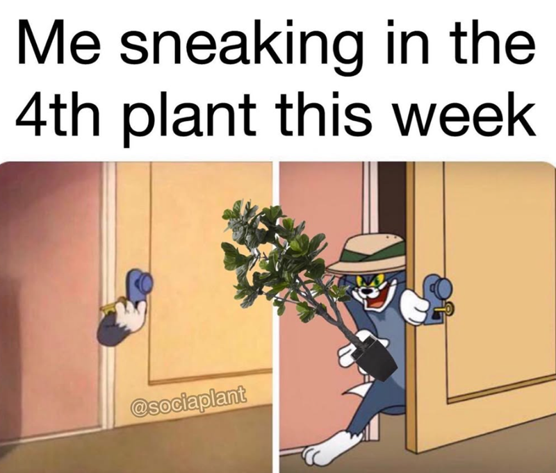 Me sneaking in the 4th plant this week @sociaplant
