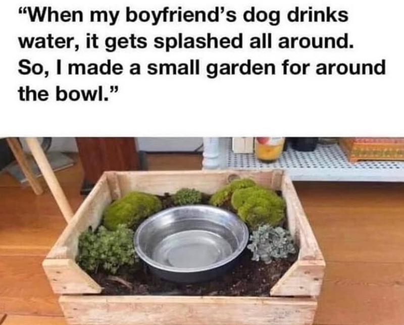 "When my boyfriend's dog drinks water, it gets splashed all around. So, I made a small garden for around the bowl."