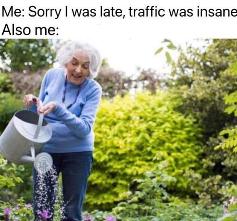 Me: Sorry I was late, traffic was insane Also me: