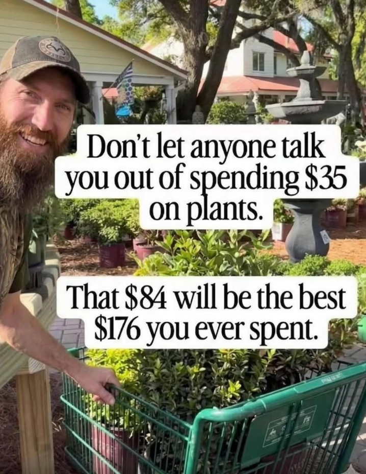 Don't let anyone talk you out of spending $35 on plants. That $84 will be the best $176 you ever spent.