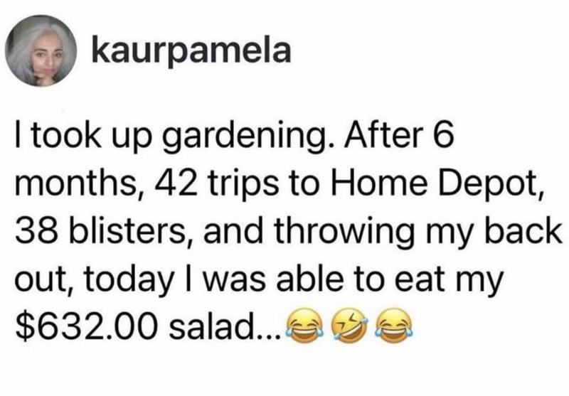 kaurpamela I took up gardening. After 6 months, 42 trips to Home Depot, 38 blisters, and throwing my back out, today I was able to eat my $632.00 salad...
