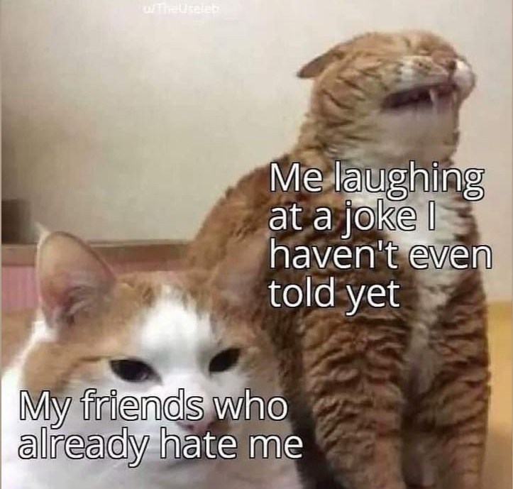 u/The Useleti Me laughing at a joke I haven't even told yet My friends who already hate me