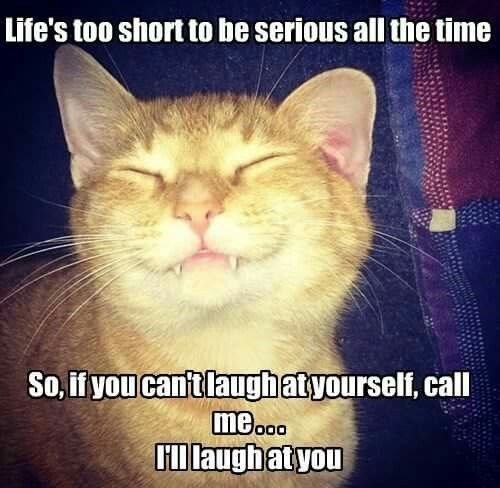 Life's too short to be serious all the time So, if you can't laugh at yourself, call me... I'll laugh at you