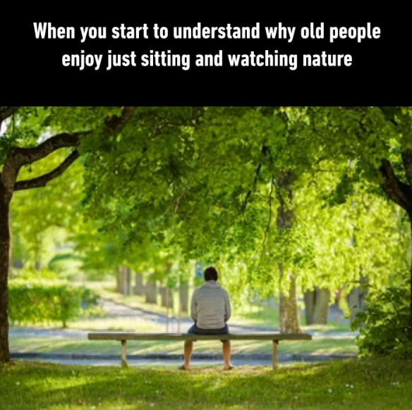 When you start to understand why old people enjoy just sitting and watching nature