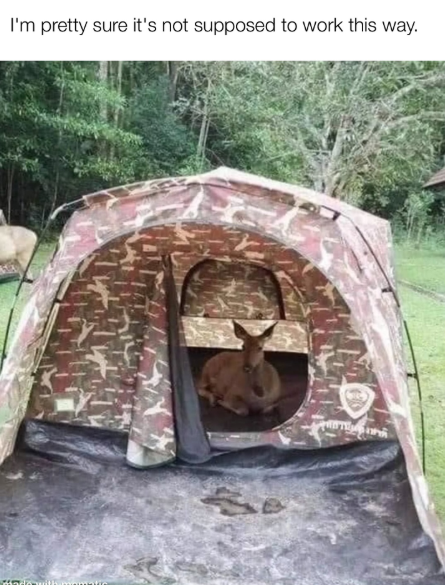 I'm pretty sure it's not supposed to work this way.