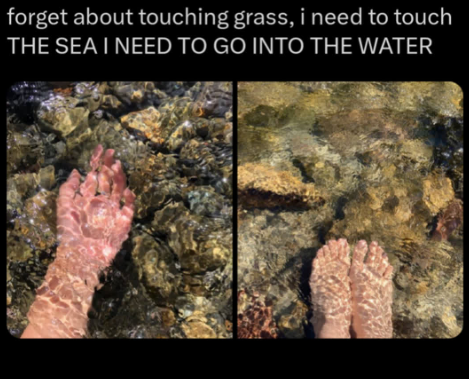 forget about touching grass, i need to touch THE SEA I NEED TO GO INTO THE WATER