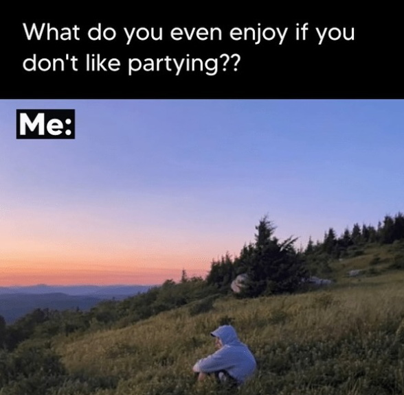 What do you even enjoy if you don't like partying?? Me: