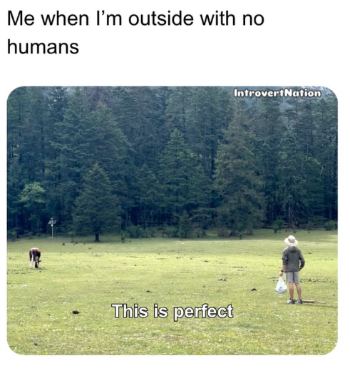 Me when I'm outside with no humans This is perfect IntrovertNation