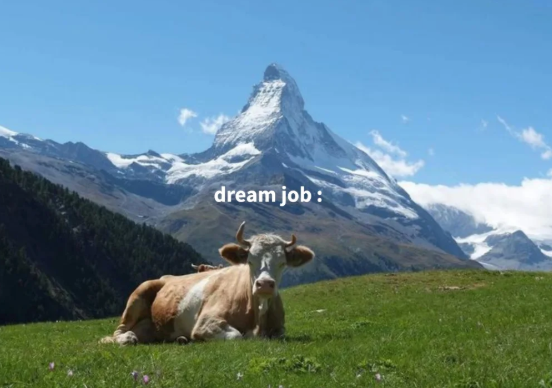 dream job: