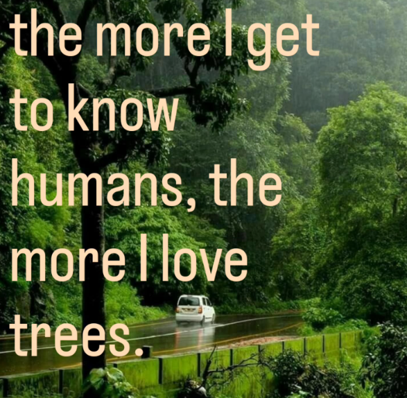 the more I get to know humans, the more I love trees.