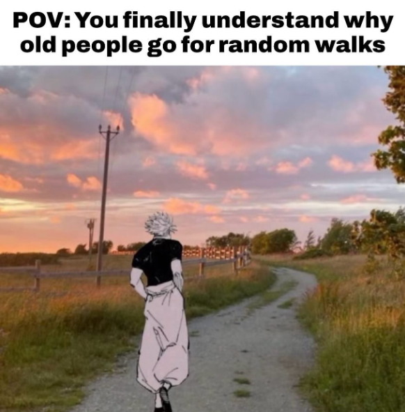 POV: You finally understand why old people go for random walks