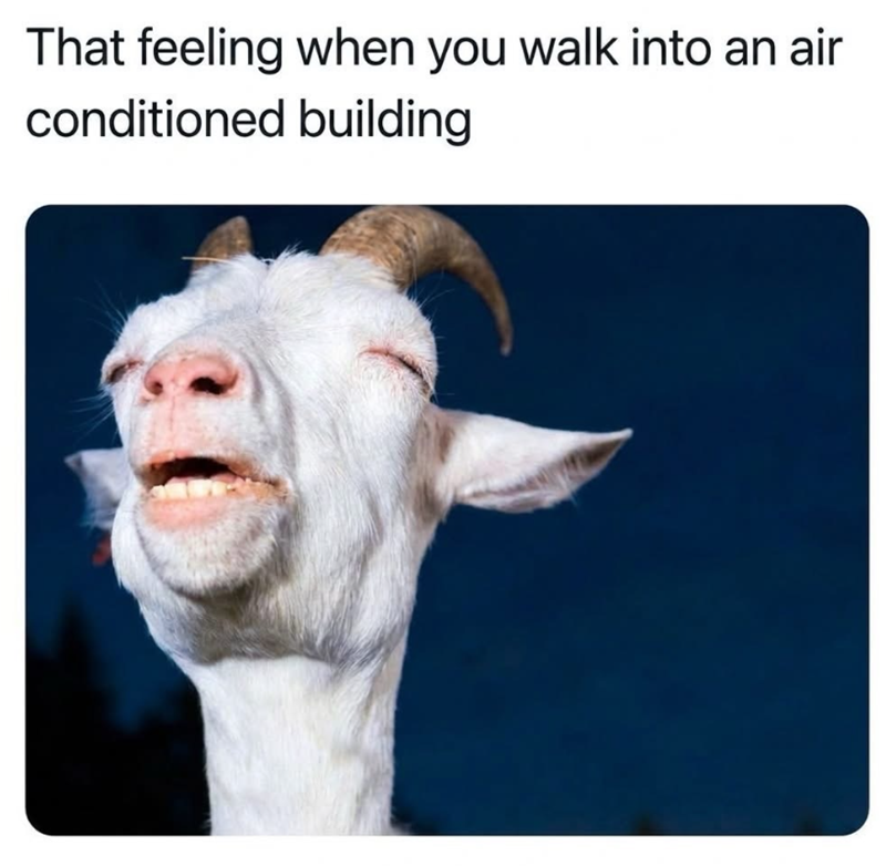 That feeling when you walk into an air conditioned building