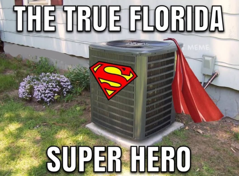 THE TRUE FLORIDA SUPER HERO MEME