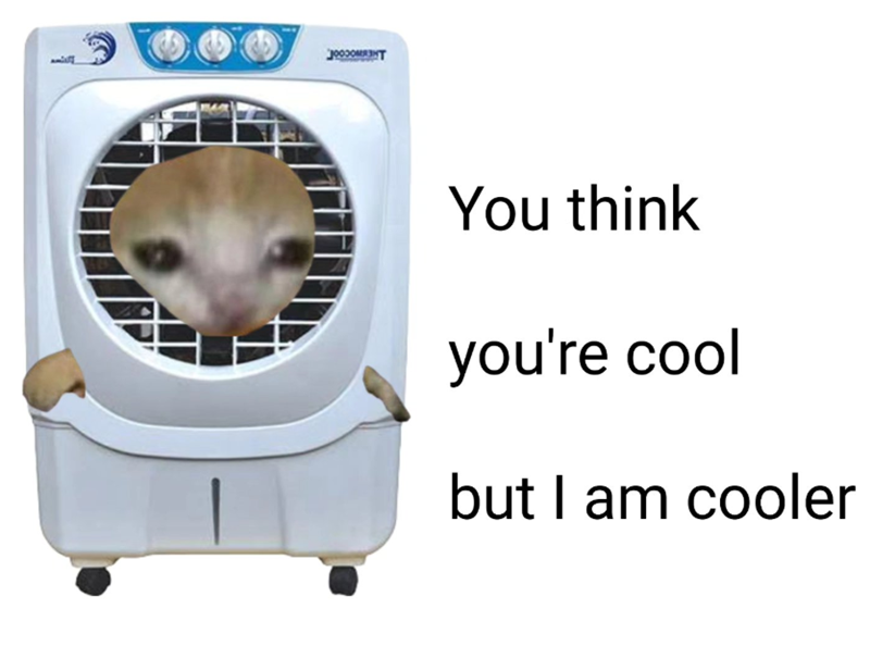 You think you're cool but I am cooler