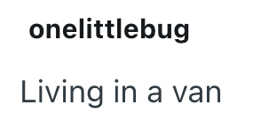 onelittlebug Living in a van