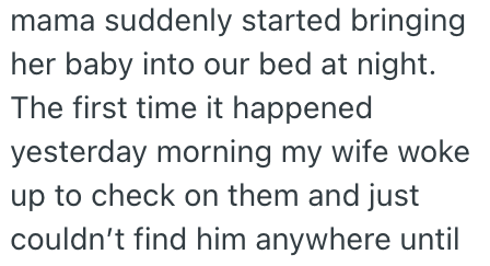 mama suddenly started bringing her baby into our bed at night. The first time it happened yesterday morning my wife woke up to check on them and just couldn't find him anywhere until