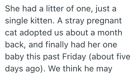 She had a litter of one, just a single kitten. A stray pregnant cat adopted us about a month back, and finally had her one baby this past Friday (about five days ago). We think he may