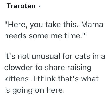 Traroten. "Here, you take this. Mama needs some me time." It's not unusual for cats in a clowder to share raising kittens. I think that's what is going on here.