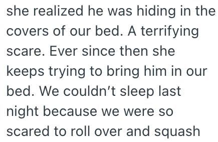 she realized he was hiding in the covers of our bed. A terrifying scare. Ever since then she keeps trying to bring him in our bed. We couldn't sleep last night because we were so scared to roll over and squash