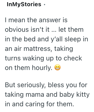 InMyStories • I mean the answer is obvious isn't it ... let them in the bed and y'all sleep in an air mattress, taking turns waking up to check on them hourly. But seriously, bless you for taking mama and baby kitty in and caring for them.
