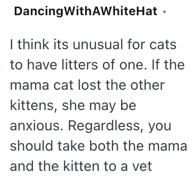DancingWithAWhiteHat I think its unusual for cats to have litters of one. If the mama cat lost the other kittens, she may be anxious. Regardless, you should take both the mama and the kitten to a vet