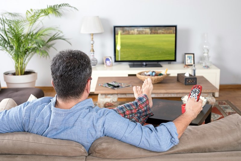 an employee watching the World Cup on TV when his annoying boss is out of town on vacation with his wife. 