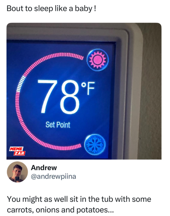 Bout to sleep like a baby! MEME ZAR 78°F Set Point Andrew @andrewpiina You might as well sit in the tub with some carrots, onions and potatoes...
