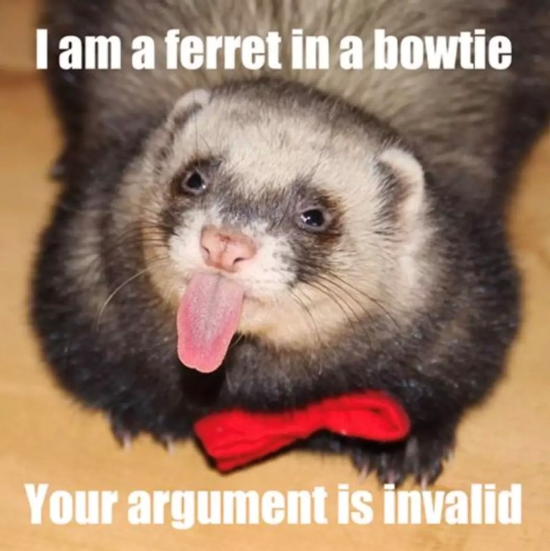 I am a ferret in a bowtie Your argument is invalid
