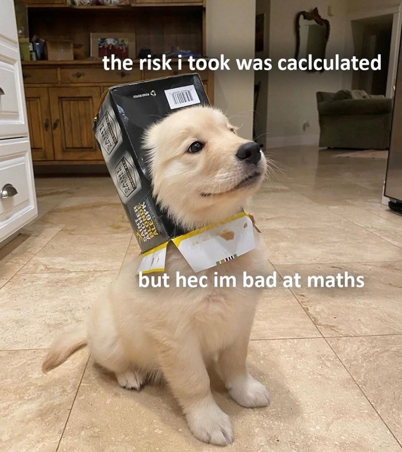 the risk i took was caclculated but hec im bad at maths