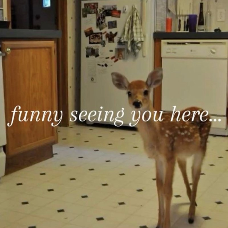 funny seeing you here...