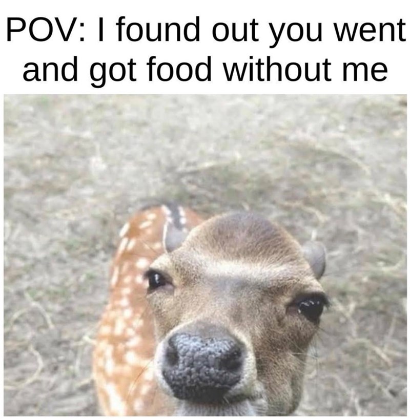 POV: I found out you went and got food without me
