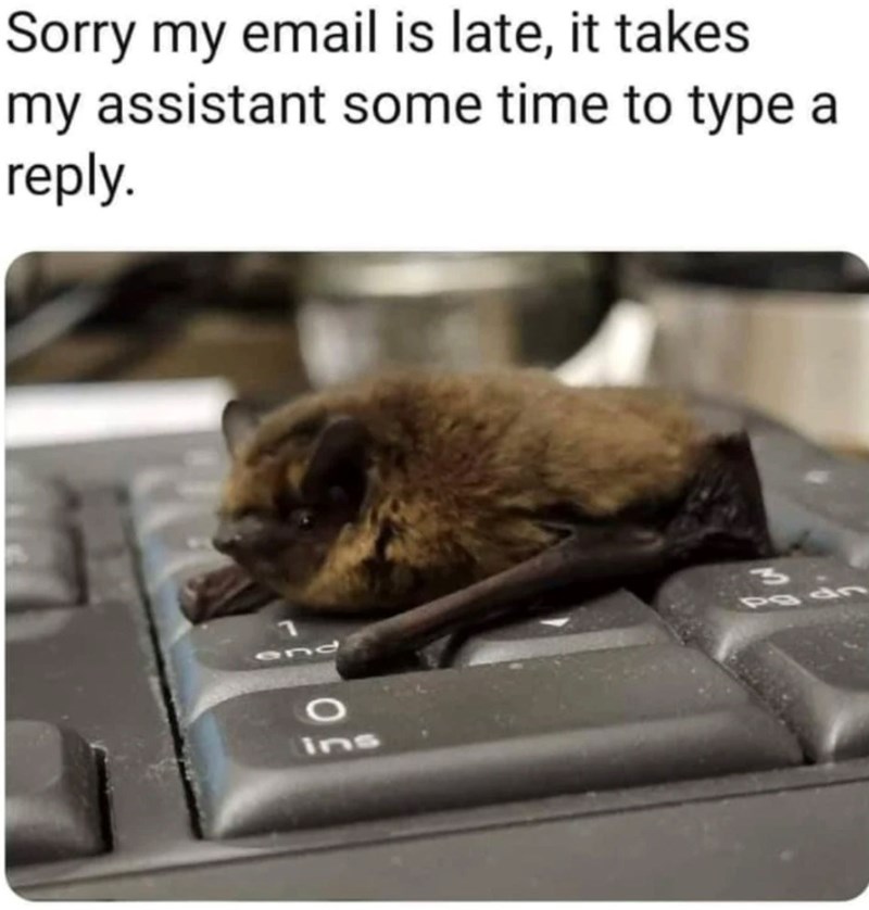Sorry my email is late, it takes my assistant some time to type a reply. end O ins pa do