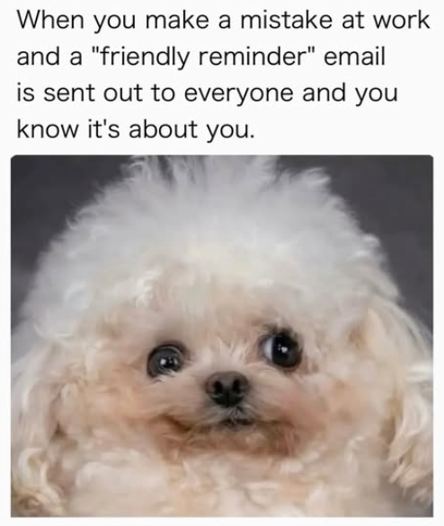 When you make a mistake at work and a "friendly reminder" email is sent out to everyone and you know it's about you.