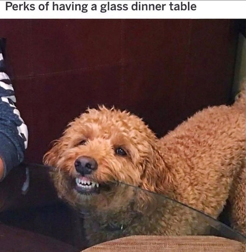 Perks of having a glass dinner table