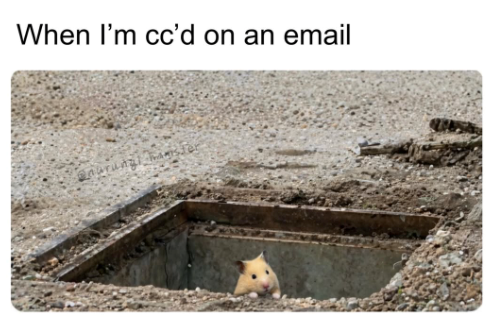 When I'm cc'd on an email haring
