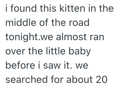 i found this kitten in the middle of the road tonight.we almost ran over the little baby before i saw it. we searched for about 20