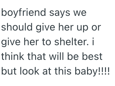 boyfriend says we should give her up or give her to shelter. i think that will be best but look at this baby!!!!
