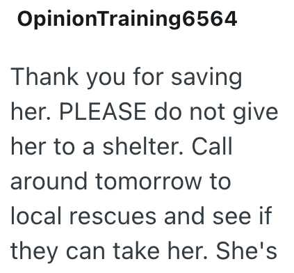 Opinion Training6564 Thank you for saving her. PLEASE do not give her to a shelter. Call around tomorrow to local rescues and see if they can take her. She's