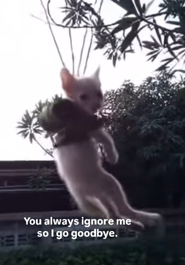 You always ignore me so I go goodbye.