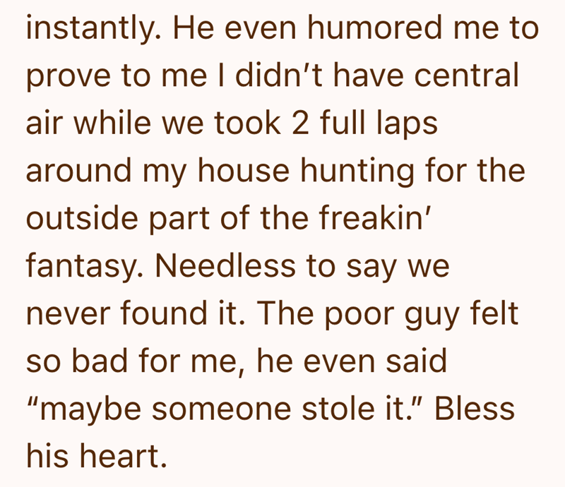 instantly. He even humored me to prove to me I didn't have central air while we took 2 full laps around my house hunting for the outside part of the freakin' fantasy. Needless to say we never found it. The poor guy felt so bad for me, he even said "maybe someone stole it." Bless his heart.