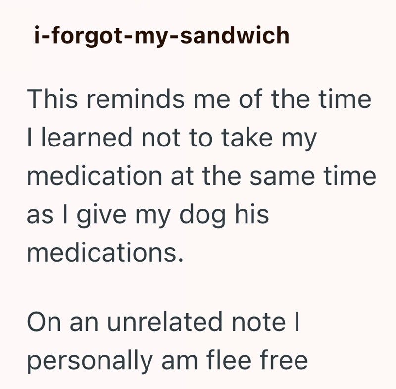 i-forgot-my-sandwich This reminds me of the time I learned not to take my medication at the same time as I give my dog his medications. On an unrelated note I personally am flee free