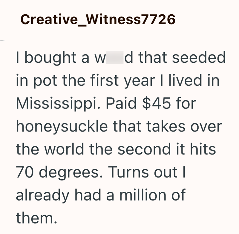 Creative_Witness7726 I bought a w Id that seeded in pot the first year I lived in Mississippi. Paid $45 for honeysuckle that takes over the world the second it hits 70 degrees. Turns out I already had a million of them.