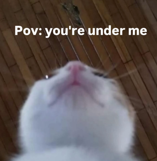 Pov: you're under me