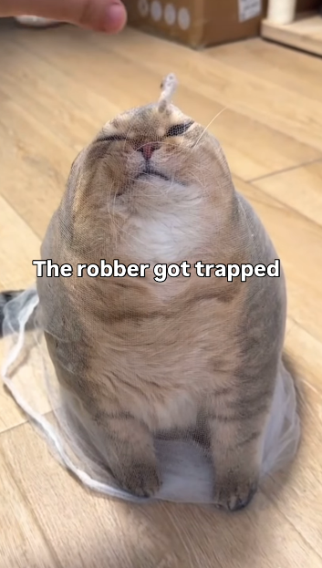 The robber got trapped