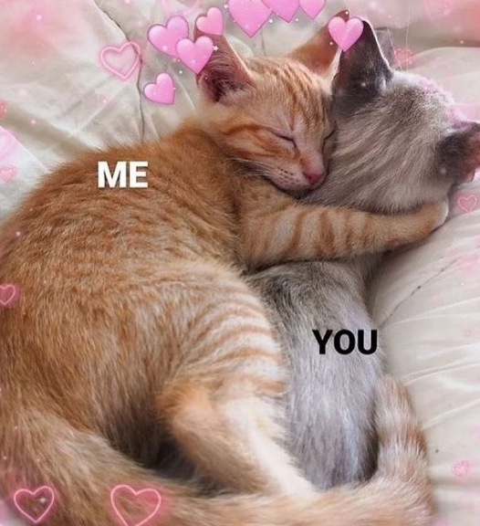 ME YOU