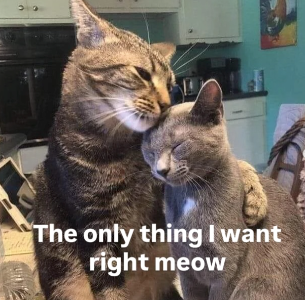 The only thing I want right meow