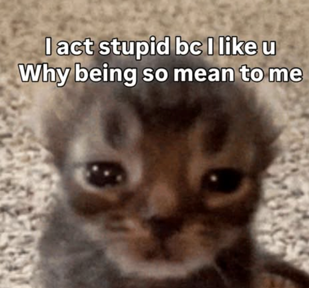 lact stupid bc I like u Why being so mean to me