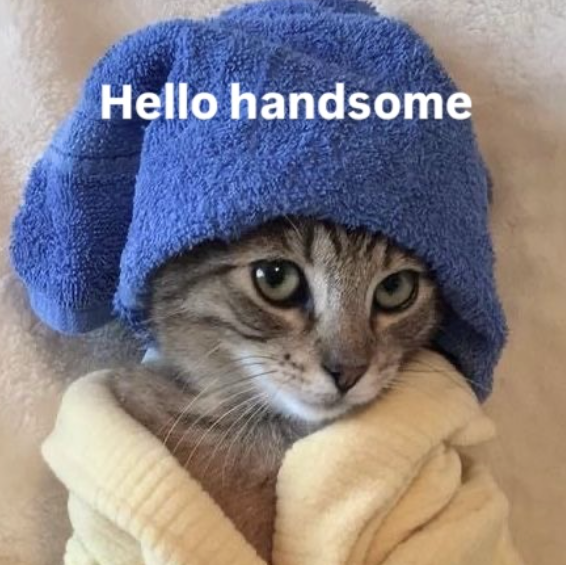 Hello handsome