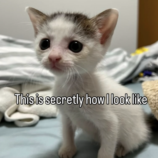 This is secretly how I look like