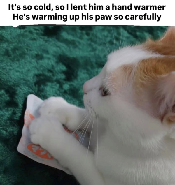 It's so cold, so I lent him a hand warmer He's warming up his paw so carefully